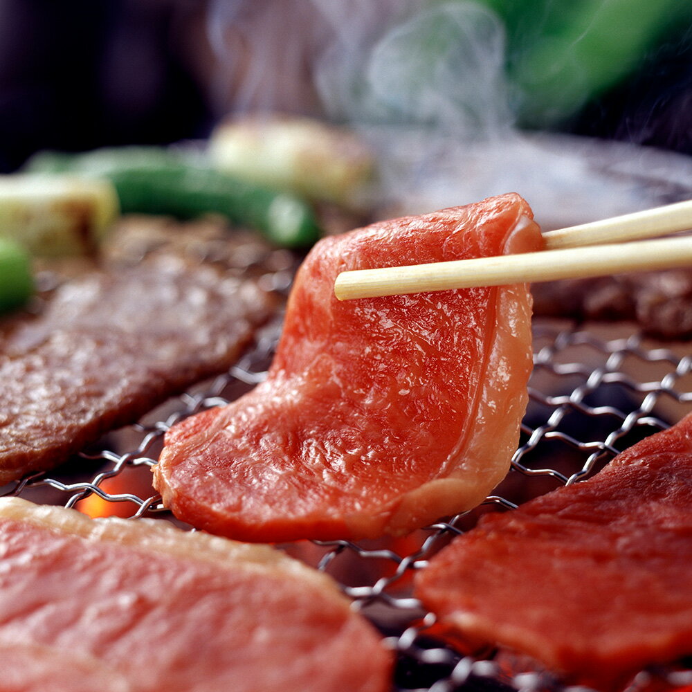 【ふるさと納税】肥後の赤牛 焼肉用 500g あか牛 牛肉 肉 焼き肉 やきにく 冷凍 国産 熊本県産 西原村 送料無料