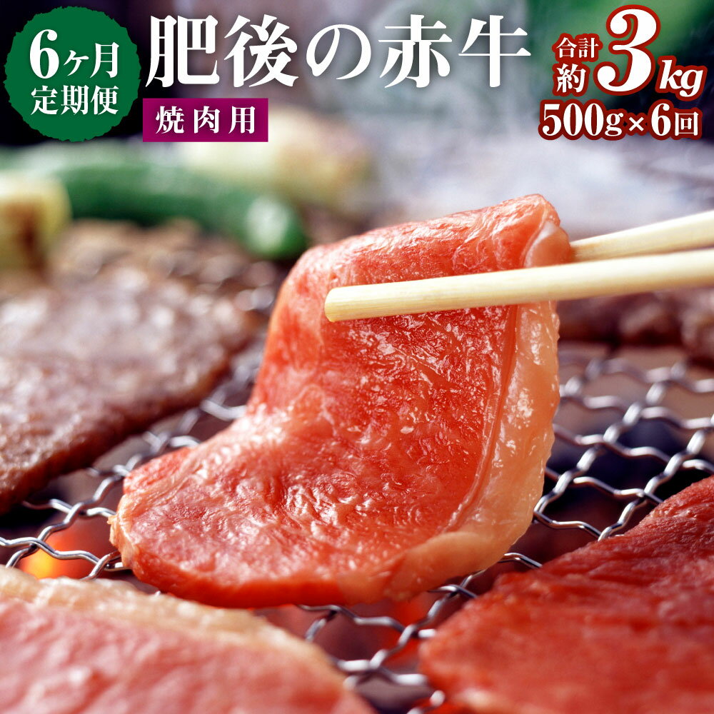 【ふるさと納税】【6ヶ月定期便】肥後の赤牛 焼肉用 500g 6回 合計3kg あか牛 牛肉 肉 焼き肉 やきにく 冷凍 国産 九州産 熊本県産 西原村 送料無料