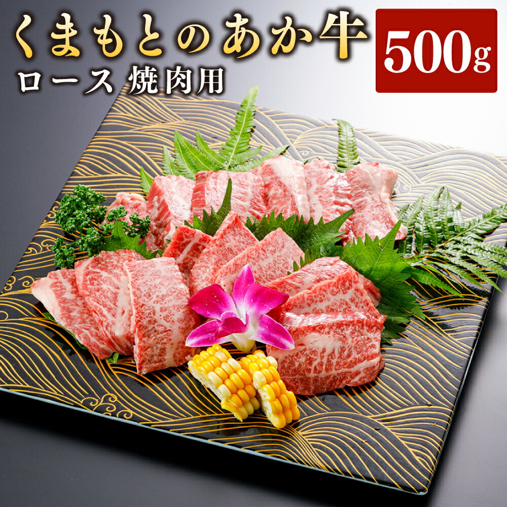 [GI認証]くまもとあか牛 ロース 焼肉用 約500g 赤牛 褐牛 あか牛 牛肉 肉 お肉 国産牛 和牛 国産牛肉 ロース肉 やきにく 焼き肉 焼肉 冷凍 お取り寄せ グルメ 九州 熊本県 西原村 送料無料 G59Q