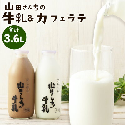 楽天ふるさと納税　【ふるさと納税】山田さんちの牛乳・カフェラテ セット 900ml×4本 合計3.6L 飲み比べ ノンホモ牛乳 生乳100％ カフェラテ 牛乳 ミルク ミルクコーヒー コーヒー 珈琲 低温殺菌 乳飲料 ドリンク 熊本県 西原村産 冷蔵 送料無料