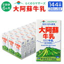 【ふるさと納税】【6ヶ月定期便】大阿蘇牛乳 250ml 24本入り 合計144本 36L 6回 定期便 パック セット らくのうマザーズ 阿蘇 牛乳 ミ..