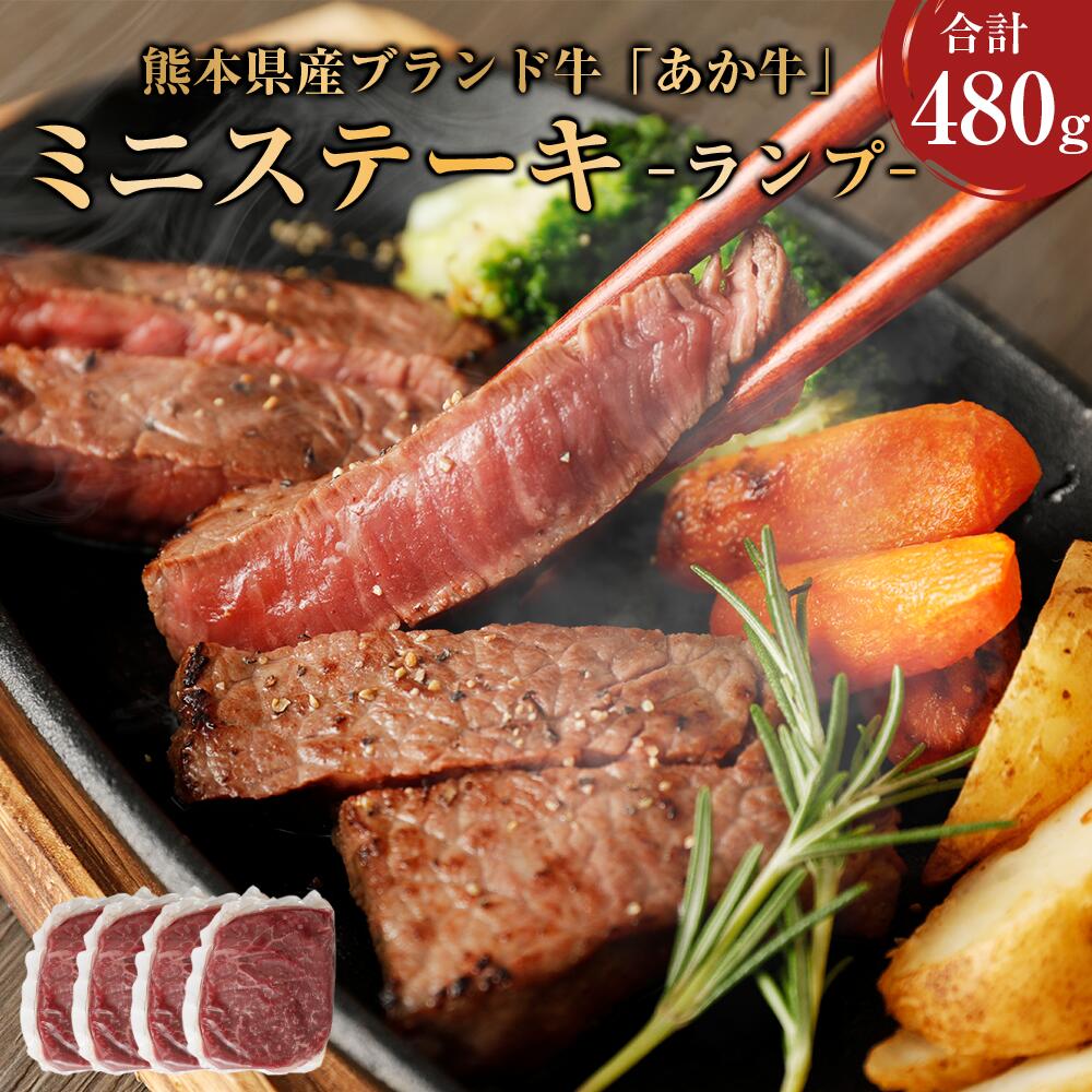 熊本県産 あか牛 ミニステーキ 480g 120g×4パック ランプ ステーキ 牛肉 肉 あかうし 和牛 牛 国産牛 国産 九州産 熊本産 熊本 くまもと 冷凍 送料無料