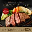 【ふるさと納税】熊本県産 あか牛 ミニステーキ 480g 120g×4パック ランプ ステーキ 牛肉 肉 あかうし 和牛 牛 国産牛 国産 九州産 熊本産 熊本 くまもと 冷凍 送料無料 2