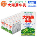 【ふるさと納税】【12ヶ月定期便】大阿蘇牛乳 250ml 24本入り 合計288本 72L 12回 定期便 紙パック セット らくのうマザーズ 阿蘇 牛乳 ミル...