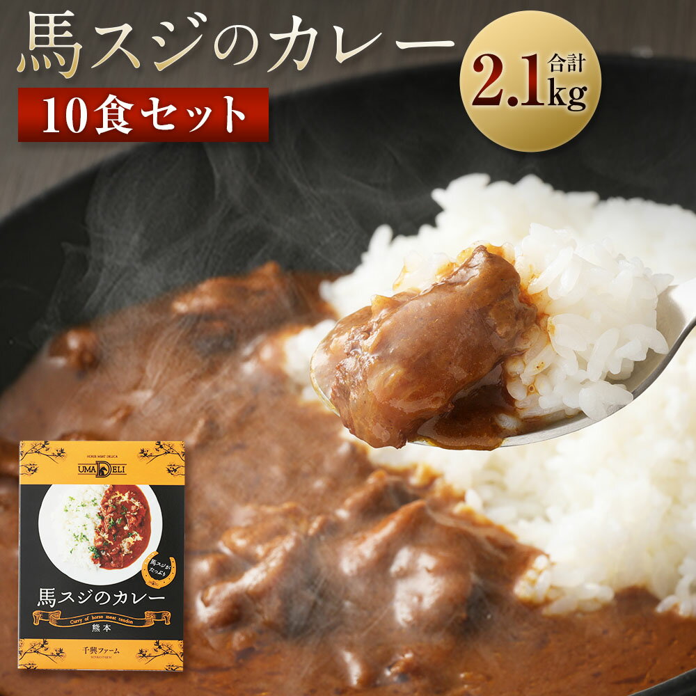 4位! 口コミ数「0件」評価「0」馬スジのカレー 10食セット 合計2.1kg 210g×10個 カレー レトルト 惣菜 馬すじ 馬肉 保存食 非常食 長期保存 送料無料