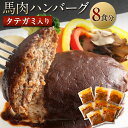 【ふるさと納税】タテガミ入り馬肉ハンバーグ 8個セット 合計約1.6kg 200g×8個 デミグラスソース ハンバーグ 馬肉 惣菜 おかず 真空パック 冷凍 送...