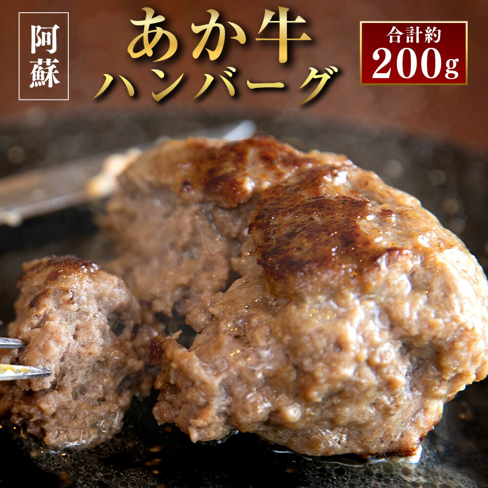 阿蘇あか牛ハンバーグ 100g×2個 合計約200g あか牛 あかうし 牛肉 和牛 ハンバーグ セット 食品 惣菜 国産 九州産 熊本県産 冷凍 送料無料