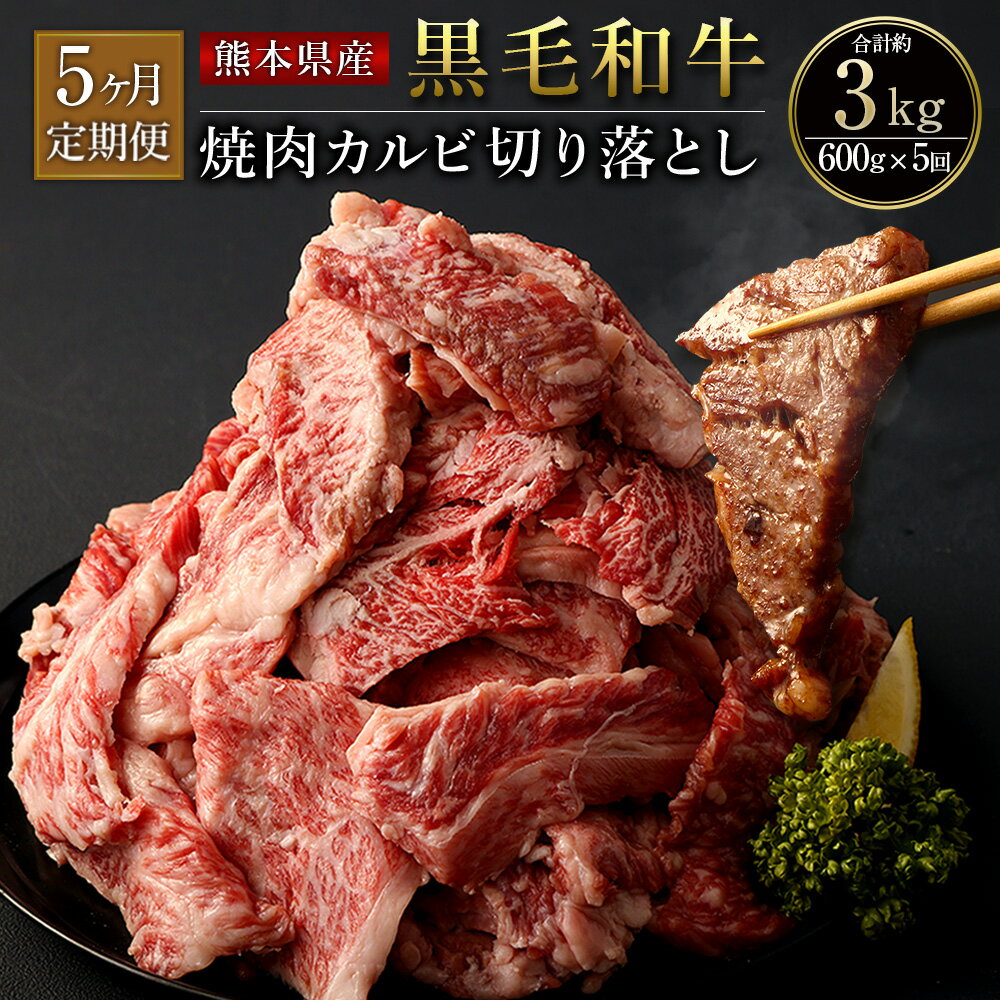 【ふるさと納税】【5ヶ月定期便】熊本県産 黒毛和牛 焼肉 カ