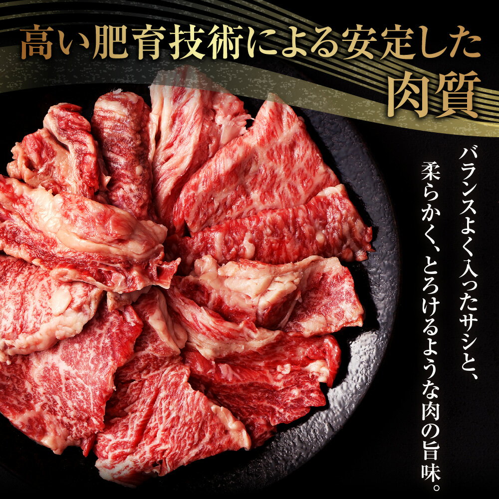 【ふるさと納税】【3ヶ月定期便】熊本県産 黒毛和牛 焼肉 カルビ 切り落とし 600g 合計約1.8kg 約300g×2パック×3ヶ月 和牛 くまもと黒毛和牛 ブランド牛 牛肉 中厚切り 切落し 切り落し やきにく お肉 BBQ バーベキュー お取り寄せ グルメ 国産 九州産 冷凍 送料無料 3