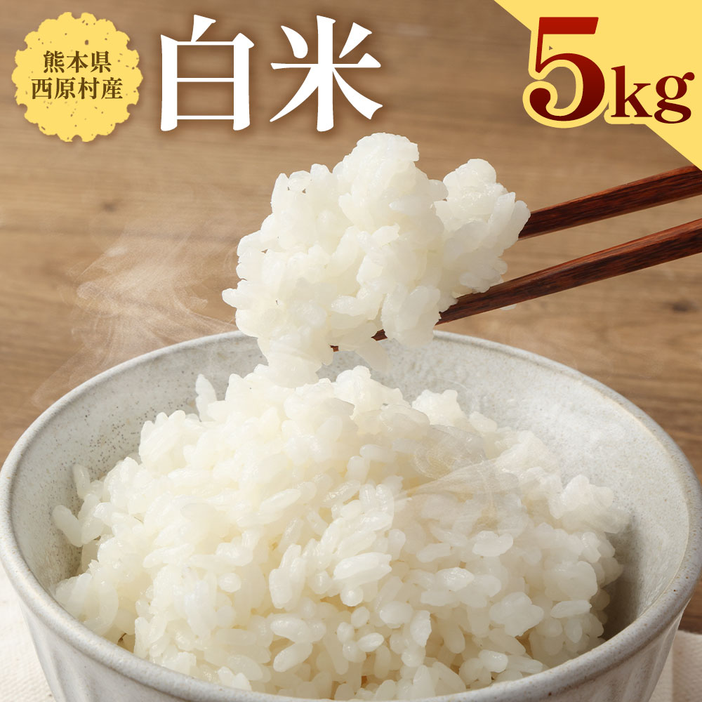 【ふるさと納税】お米 白米 5kg 米 精米 単一原料米 ヒ