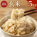 26位! 口コミ数「0件」評価「0」お米 玄米 5kg 米 単一原料米 ヒノヒカリ ひのひかり 主食 グルメ 炭水化物 国産 九州産 熊本県産 西原村産 送料無料