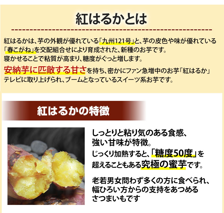 【ふるさと納税】【選べる容量】さつまいも 紅はるか 訳あり 5kg 10kg 2S～3L混合 無選別 自宅用 べにはるか 熊本 サツマイモ 紅蜜芋 芋 いも イモ 国産 常温 熊本県 西原村 送料無料