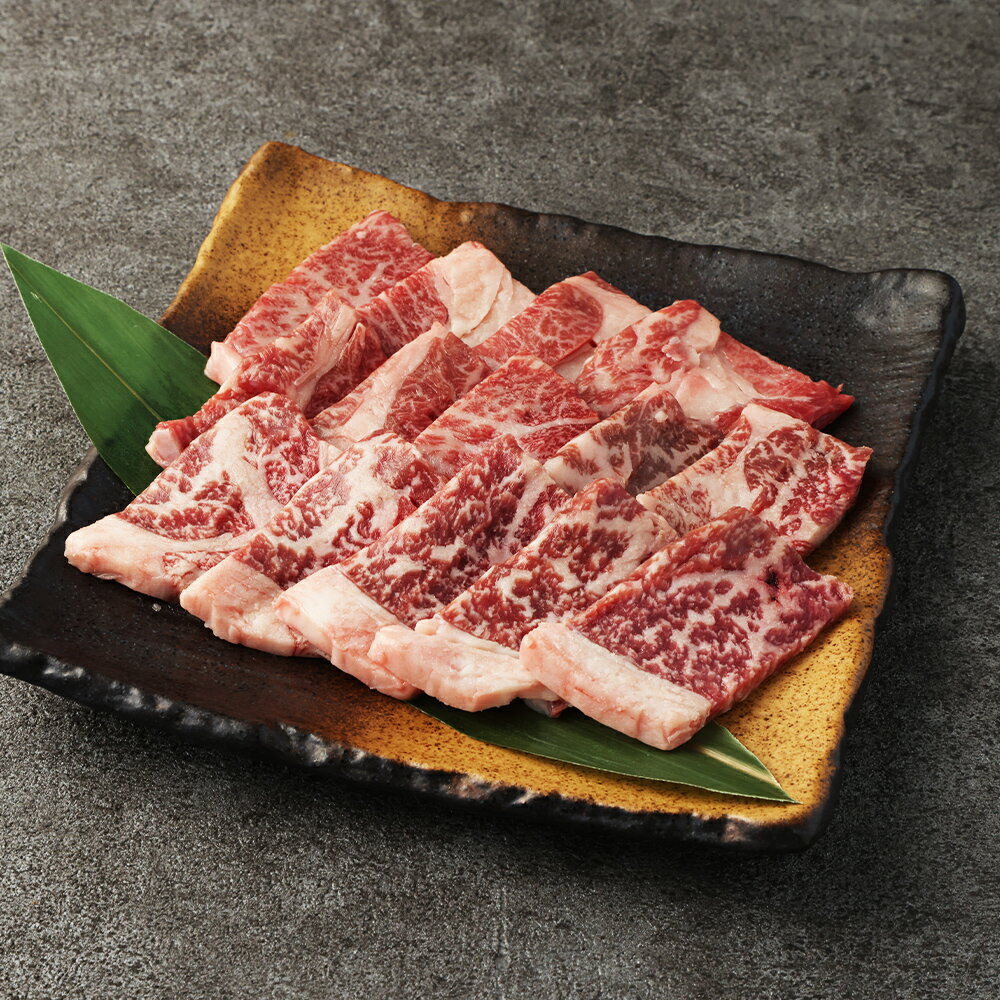 阿蘇あか牛 上カルビ 約500g 100g×5袋 熊本県産 赤身 牛バラ バラ肉 カルビ 焼肉 焼き肉 BBQ 肉 お肉 牛肉 和牛 くまもとあか牛 赤牛 小分け パック 冷凍 国産 九州 熊本県 西原村 送料無料