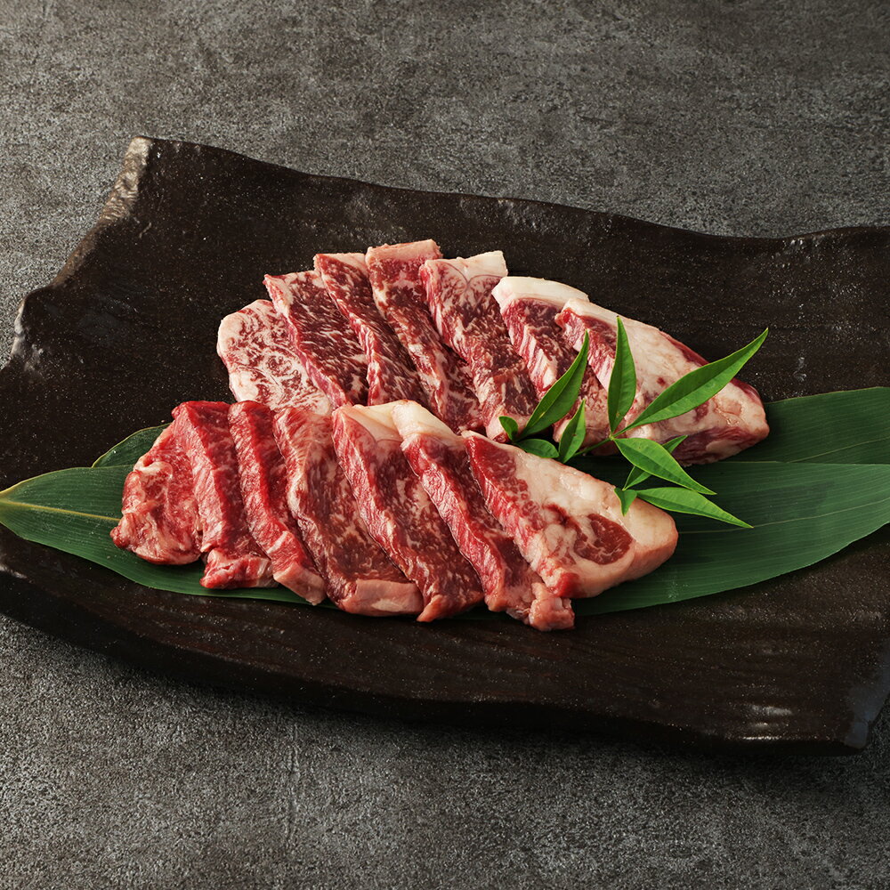 阿蘇あか牛 サーロイン 約500g 100g×5袋 熊本県産 赤身 肉 お肉 牛肉 和牛 くまもとあか牛 赤牛 小分け パック 冷凍 国産 九州 熊本県 西原村 送料無料