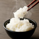 【ふるさと納税】【令和6年産】くまもとのブランド米 くまさんの輝き 10kg 5kg×2袋 選べる 発送月 14営業日以内発送 熊本県産 九州 米 お米 白米 ...