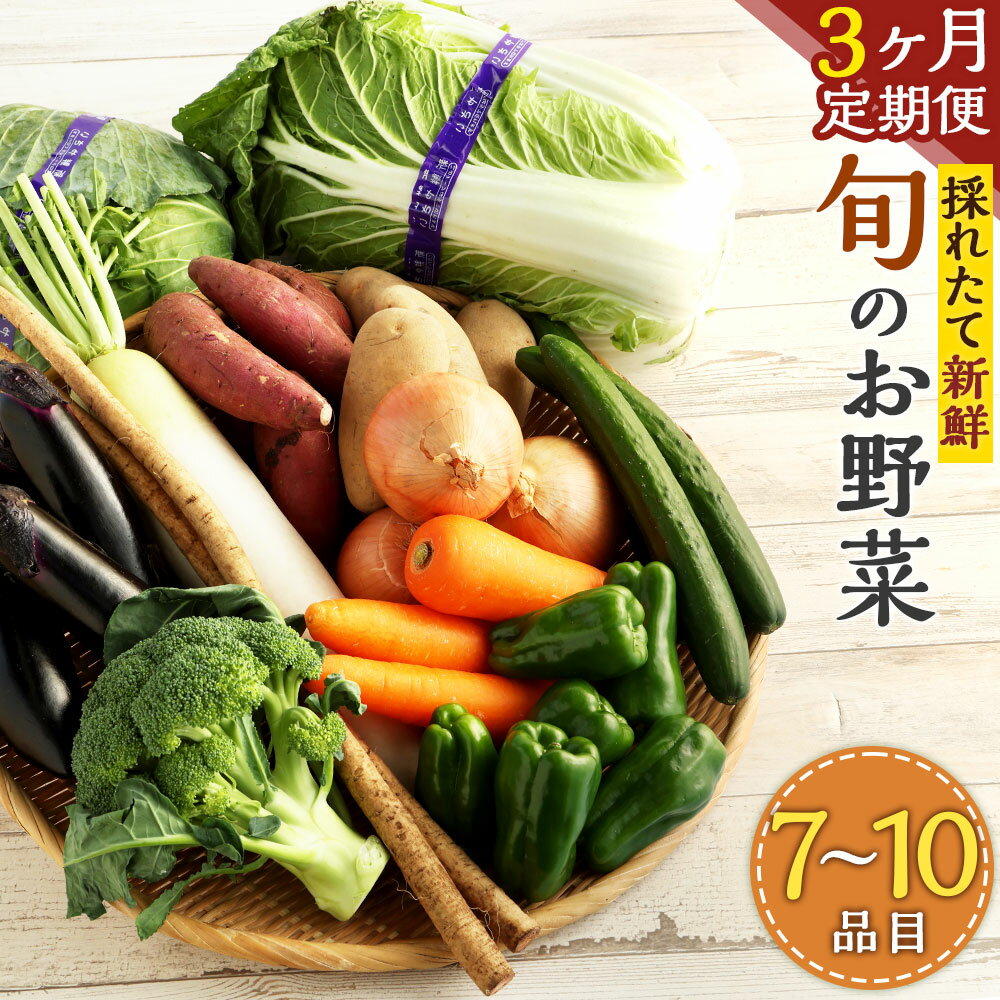 [3ヶ月定期便]生産者応援採れたて新鮮 旬のお野菜 詰め合わせセット 季節に応じた7〜10品目の野菜 さつまいも 人参 ブロッコリー 白菜 じゃがいも ほうれん草 トマト 小松菜 玉ねぎ きゅうり きのこ アスパラ なす レンコン 大根 キャベツ レタス 送料無料