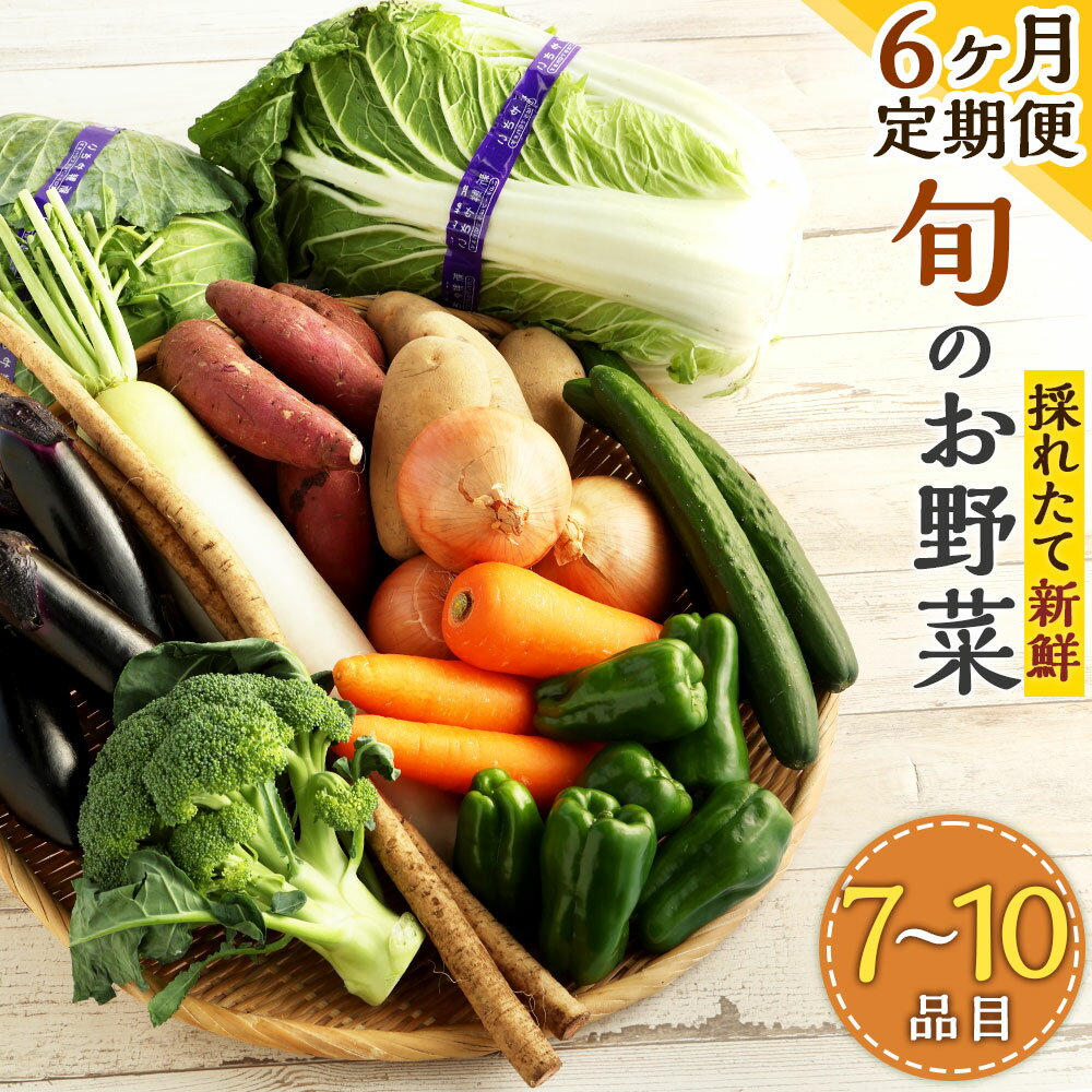 8位! 口コミ数「0件」評価「0」【6ヶ月定期便】生産者応援採れたて新鮮 旬のお野菜 詰め合わせセット 季節に応じた7～10品目の野菜 さつまいも 人参 ブロッコリー 白菜 ･･･ 