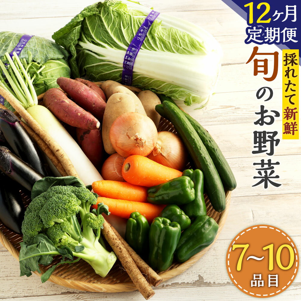 8位! 口コミ数「0件」評価「0」【12ヶ月定期便】生産者応援採れたて新鮮旬のお野菜 詰め合わせセット 季節に応じた7～10品目の野菜 さつまいも 人参 ブロッコリー 白菜 ･･･ 