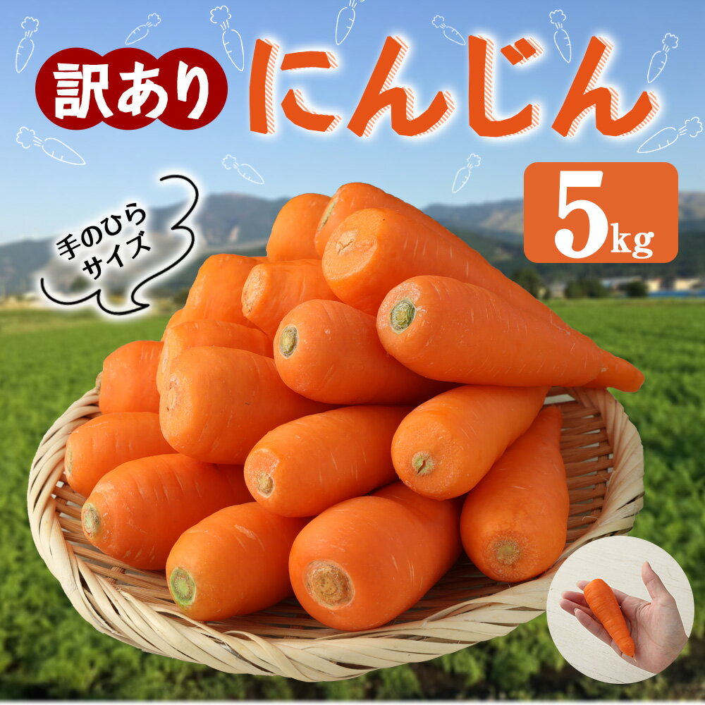 【ふるさと納税】 訳あり にんじん 5kg 特別栽培 人参 ニンジン にんじん 規格外 訳アリ 手のひらサイズ 国産 熊本県 阿蘇産 野菜 規格外野菜 規格外 ふるさと 納税 返 礼品 4000円 わけあり食品 訳アリ商品 訳あり品 ふるさと納税熊本 ふるさと納税返礼品 冷蔵配送 送料無料