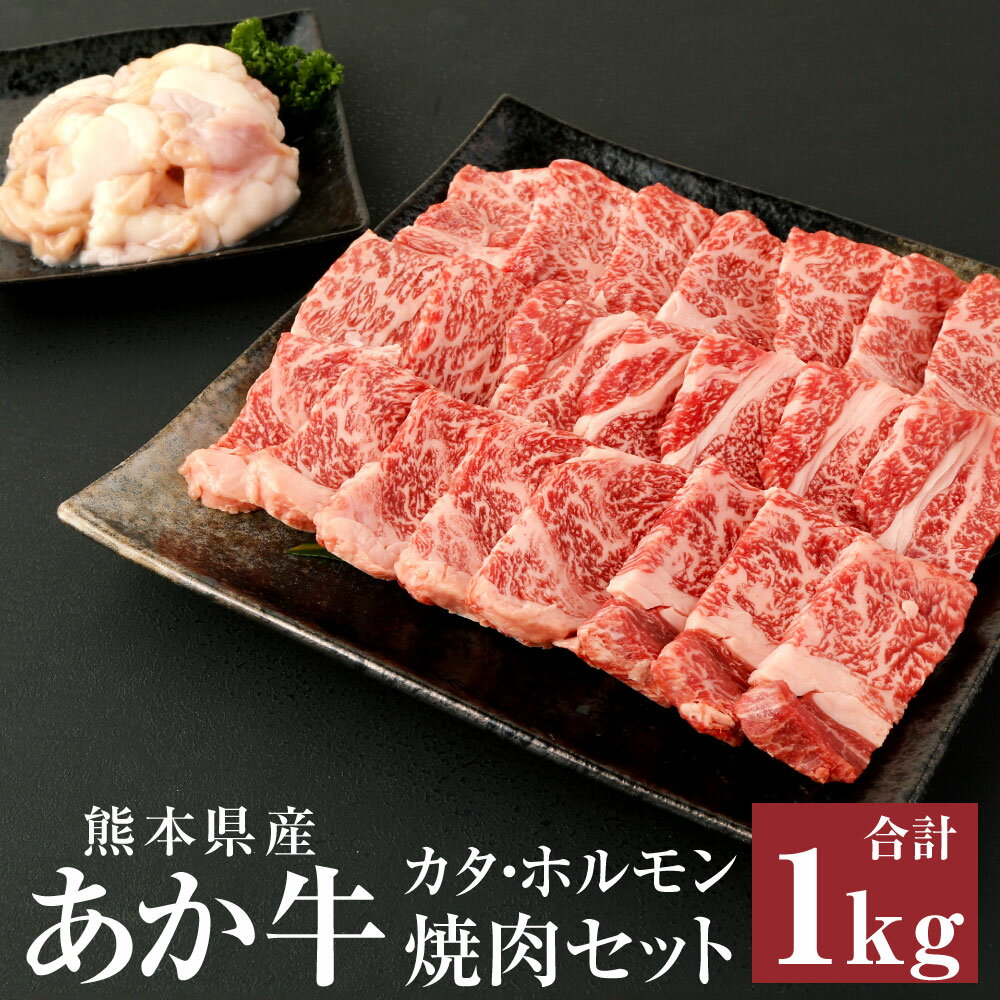 【ふるさと納税】あか牛 赤身 焼肉セット 合計1kg (カタ700g・ホルモン300g) 肉 お肉 牛肉 赤牛 和牛 焼き肉 BBQ やきにく 熊本県 西原村産 冷凍 送料無料