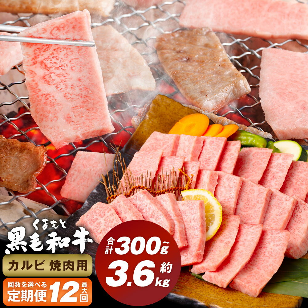 [選べる定期便]くまもと黒毛和牛 カルビ 焼肉 1回300g 計600g〜3.6kg 焼肉用 牛肉 肉 お肉 BBQ バーベキュー 焼き肉 和牛 国産 九州 冷凍 熊本県 西原村 送料無料