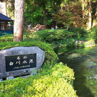 【ふるさと納税】日本名水百選ミネラルウォーター「南阿蘇・白川水源」2L×6本入2ケース