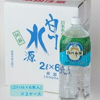【ふるさと納税】日本名水百選ミネラルウォーター「南阿蘇・白川水源」2L×6本入2ケース