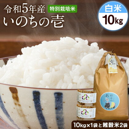 令和5年産 特別栽培米 いのちの壱(白米) 10kg(10kg×1袋) 雑穀米付き《90日以内に出荷予定(土日祝を除く)》 熊本県 南阿蘇村 熊本県産 虹色のかば 白米 雑穀米