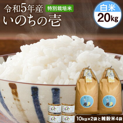 令和5年産 特別栽培米 いのちの壱(白米) 20kg(10kg×2袋) 雑穀米付き《90日以内に出荷予定(土日祝を除く)》 熊本県 南阿蘇村 熊本県産 虹色のかば 白米 雑穀米