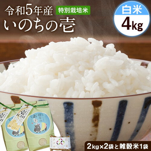 40位! 口コミ数「0件」評価「0」令和5年産 特別栽培米 いのちの壱(白米) 4kg 2kg×2 雑穀米付き《90日以内に出荷予定(土日祝を除く)》 熊本県 南阿蘇村 熊本県･･･ 