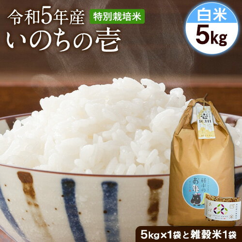 令和5年産 特別栽培米 いのちの壱(白米)5kg×1 雑穀米付き《90日以内に出荷予定(土日祝を除く)》 熊本県 南阿蘇村 熊本県産 虹色のかば 白米 雑穀米