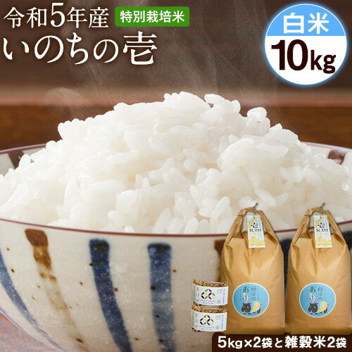 16位! 口コミ数「0件」評価「0」令和5年産 特別栽培米 いのちの壱(白米) 10kg(5kg×2袋) 雑穀米付き《90日以内に出荷予定(土日祝を除く)》 熊本県 南阿蘇村 ･･･ 