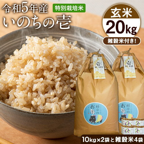 【ふるさと納税】令和5年産 特別栽培米 いのちの壱(玄米) 20kg 10kg×2 雑穀米付き《90日以内に出荷予定(土日祝を除く)》 熊本県 南阿蘇村 熊本県産 虹色のかば 雑穀米