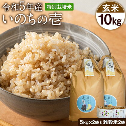 令和5年産 特別栽培米 いのちの壱(玄米) 10kg 5kg×2 雑穀米付き《90日以内に出荷予定(土日祝を除く)》 熊本県 南阿蘇村 熊本県産 虹色のかば 雑穀米