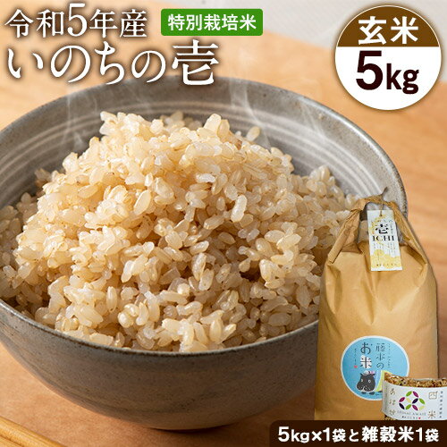 令和5年産 特別栽培米 いのちの壱(玄米)5kg×1 雑穀米付き[90日以内に出荷予定(土日祝を除く)] 熊本県 南阿蘇村 熊本県産 虹色のかば 雑穀米