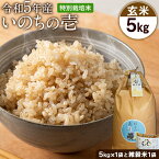 【ふるさと納税】令和5年産 特別栽培米 いのちの壱(玄米)5kg×1 雑穀米付き《90日以内に出荷予定(土日祝を除く)》 熊本県 南阿蘇村 熊本県産 虹色のかば 雑穀米