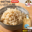 【ふるさと納税】新米 令和7年産 特別栽培米 いのちの壱(玄米) 選べる 5kg 10kg 20kg 雑穀米付き《10月中旬-11月下旬》 熊本県 南阿蘇村 熊本県産 虹色のかば
