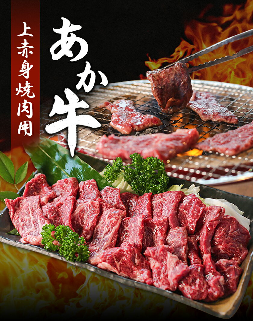 【ふるさと納税】あか牛 上赤身焼肉用 選べる内容量 250g 500g 1kg 1個 250g 白水乃蔵《30日以内に出荷予定(土日祝除く)》熊本県 南阿蘇村 あかうし 赤牛 上赤身 焼肉 冷凍 小分けパック 送料無料