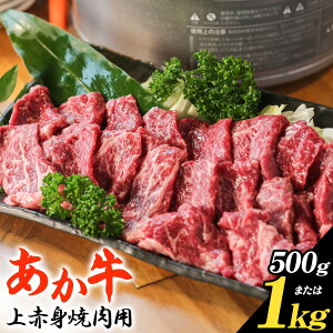 【ふるさと納税】あか牛 上赤身焼肉用 選べる内容量 500g 250g×2個 または 1kg 250g×4個 白水乃蔵《30日以内に出荷予定(土日祝除く)》熊本県 南阿蘇村 あかうし 赤牛 上赤身 焼肉 冷凍 小分けパック 送料無料