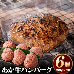 【ふるさと納税】あか牛 ハンバーグ6個(180g×6個) 白水乃蔵《60日以内に出荷予定(土日祝除く)》 あかうし 赤牛 冷凍