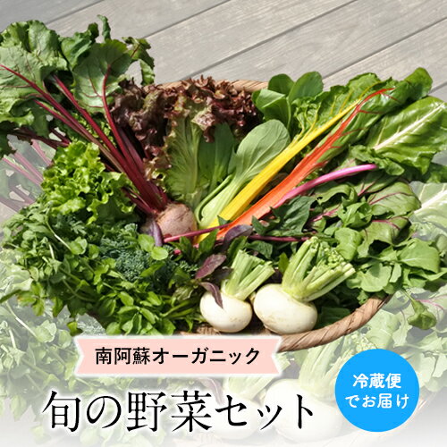 2位! 口コミ数「0件」評価「0」南阿蘇オーガニック 旬の野菜セット10種類以上詰め合わせ《30日以内に出荷予定(土日祝除く)》熊本県 南阿蘇村 野菜 カブ ビーツ サニーレ･･･ 