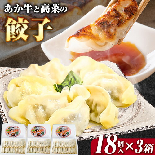 【ふるさと納税】あか牛と高菜の餃子 18個入り 3箱 南阿蘇物産センター《30日以内に出荷予定 土日祝除く 》熊本県 南阿蘇村 肉 牛 うし 牛肉 あか牛 高菜 たかな 餃子