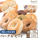 【ふるさと納税】阿蘇の天然水使用 ベーグルセット 選べる 5個入 10個入 20個入 30個入 ベーグル・ワン《30日以内に出荷予定(土日祝除く)》熊本県 南阿...