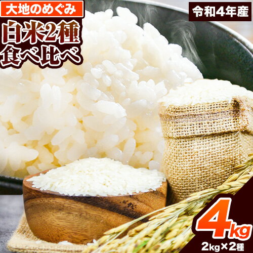 【ふるさと納税】令和4年産 白米2種食べ比べセット 4kg(2kg×2種)《60日以...