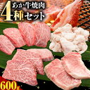 【ふるさと納税】あか牛 お手軽 焼肉セット 4種類 計600g モモ 100g ロース 100g カルビ 100g ホルモン 300g トライウィン《90日以内に出荷予定(土日祝除く)》 熊本県 南阿蘇 あかうし 赤牛 焼肉 やきにく 肉 牛肉 あか牛