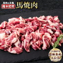 【ふるさと納税】馬ひも焼肉用300g(50g×6袋) 肉 馬ひも 馬肉 南阿蘇村《90日以内に出荷予定(土日祝除く)》