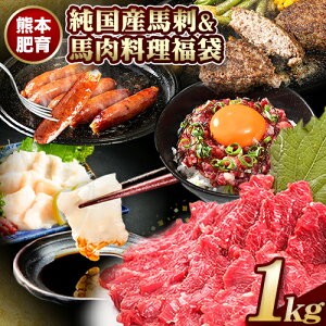 【ふるさと納税】純国産馬刺し＆馬肉料理福袋 計1kg 熊本肥育 2年連続農林水産大臣賞受賞 送料無料 上赤身馬刺し100g たてがみ50g 馬とろ150g 馬ソーセージ500g 燻製 霜降り ハン馬ーグ200g(2個入り) タレ付き 南阿蘇村《90日以内に出荷予定(土日祝除く)》