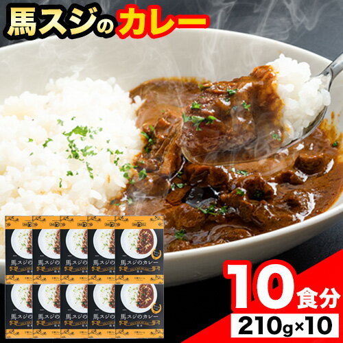 【ふるさと納税】たっぷり！馬スジカレー 10食セット《60日