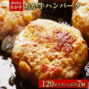 【ふるさと納税】あか牛ハンバーグ 熊本県産あか牛を使用した贅沢ハンバーグたっぷり7個入り あか牛 赤牛 あかうし《4月中旬-5月中旬頃出荷予定》