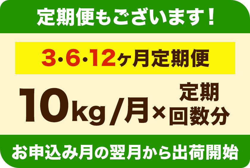 【ふるさと納税】 令和5年産 無洗米 も 選べる ひのひかり 10kg 5kg×2袋 定期便 もあります 3ヶ月 6ヶ月 12ヶ月 白米 精米 無洗米 熊本県産(南阿蘇村産含む) 単一原料米 南阿蘇村《出荷時期をお選びください》